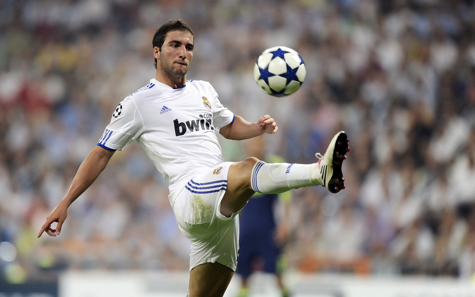 乔·莫伊：凭借极高的scrum控制力和防守反应，成为全黑队的坚强后盾