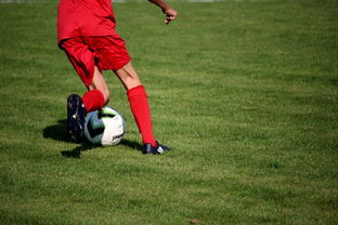 篮球运动员心理韧性培养及心理干预体系建设，篮球运动员心理素质的重要性